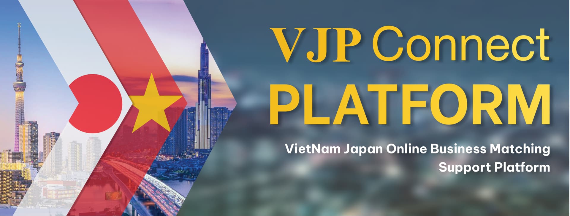 Image of Viet Japan Digital